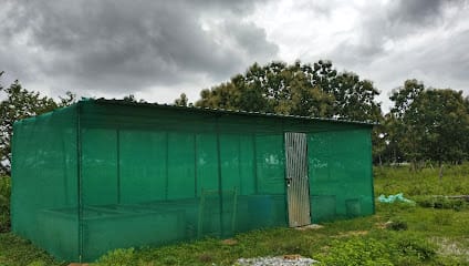 Nesara Vermicompost business photograph