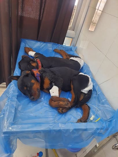 VETOX Veterinary Clinic and Shop business photograph