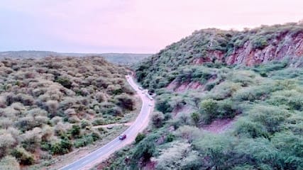 The Leopard Trail business photograph