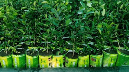 Kaushal Kisan Bio Planttec Private Limited. business photograph