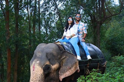 Munnar Travel Diary | Travel agency in Munnar | Munnar Taxi Service | Munnar Tour packages business photograph