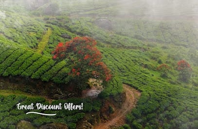 Kerala Holidays Pvt. Ltd. केरल टूर पैकेज business photograph