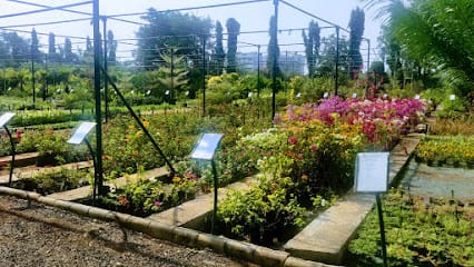 R K NURSERY business photograph