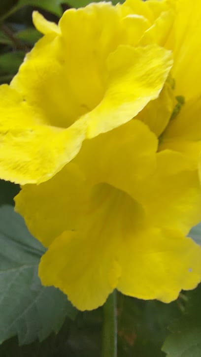 Vishal Wedding Events planner business photograph