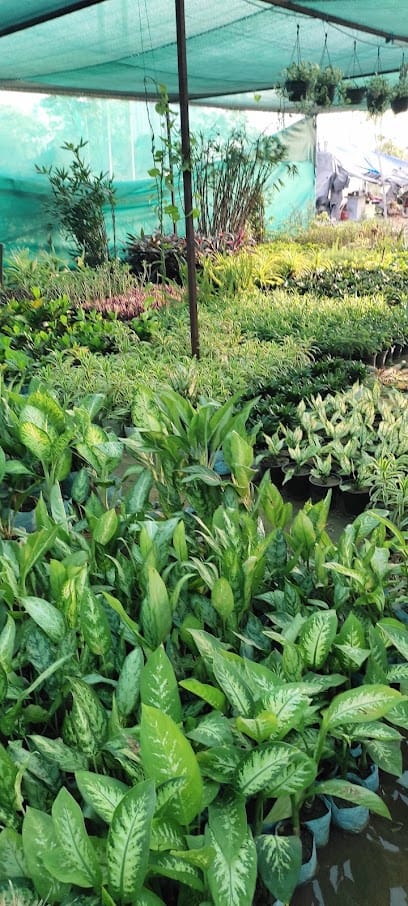 Indo Essence Agro Tech, Nursery, Seeds, Fertilizer business photograph