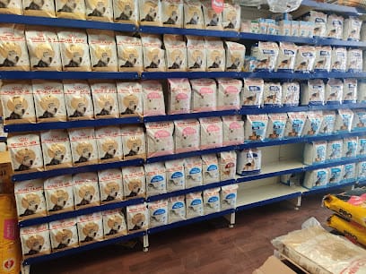 Foodie Puppies business photograph