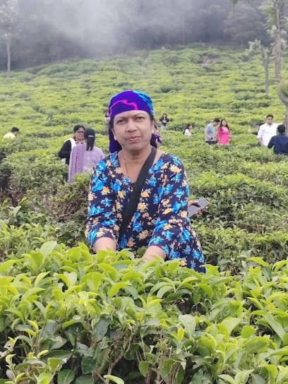 Dosti Tours & Travels business photograph