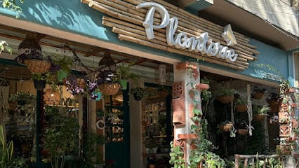 Planterie | Plant Studio & Cafe | Plant Delivery in Delhi-NCR, Corporate Gifting, Terrarium Workshop, Terrace Gardens business photograph