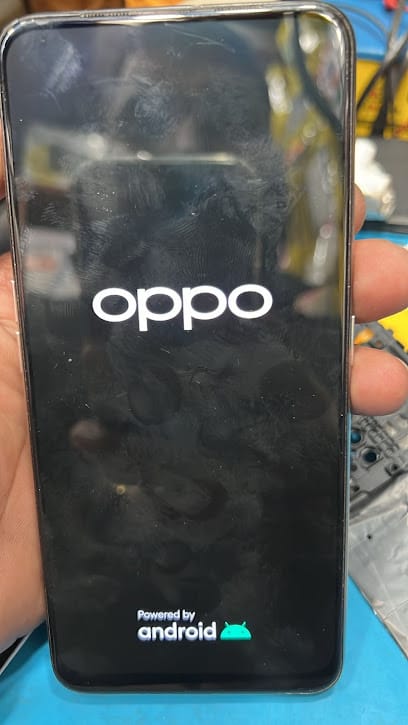 Trend Mobiles business photograph