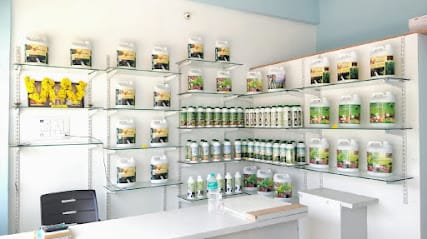 Dr. Soil Hassan, KGD Enterprises business photograph