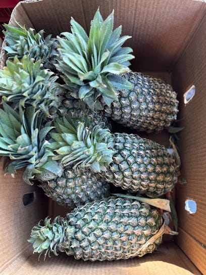 THE VEGETABLE BAZAAR - Vegetable and Fruits online in Vadodara business photograph