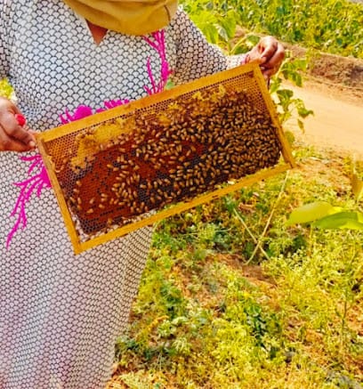 Sacred Honey business photograph