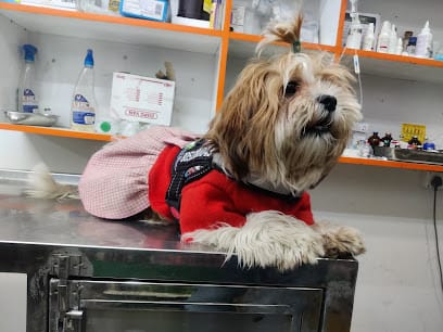 Dr Gyan Pet Clinic & Surgery Centre business photograph
