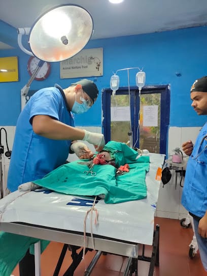 Dr.N.P Singh , B.V.Sc & A.H (Gold medalist), I.S.V.P.T(Gold medalist),M.V.Sc (ICAR-IVRI), CCDI Radiology (GADVASU,Ludhiana) business photograph