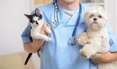 VetCare Pet Clinic business photograph