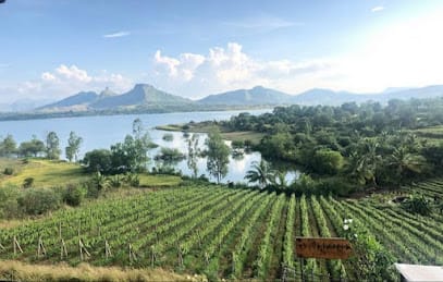 Vallonne Vineyards Pvt Ltd business photograph