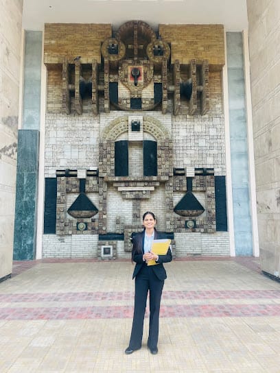 Adv. Prachi Goel | Criminal | Bail | Cheque Bounce | NDPS | POCSO | Domestic Violence | Divorce business photograph