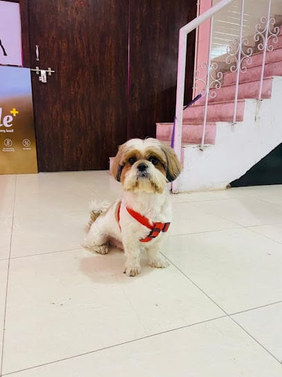 Pets Terminal Clinic business photograph