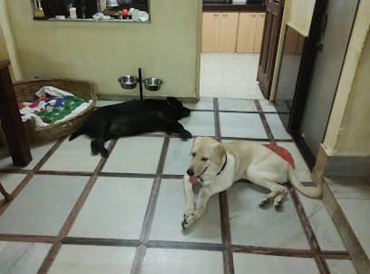 Dsouza's Pet Kennel business photograph