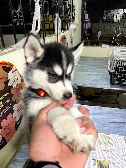 Precise Pet Clinic And Accessories business photograph