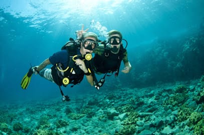 Bond Safari Scuba Diving business photograph
