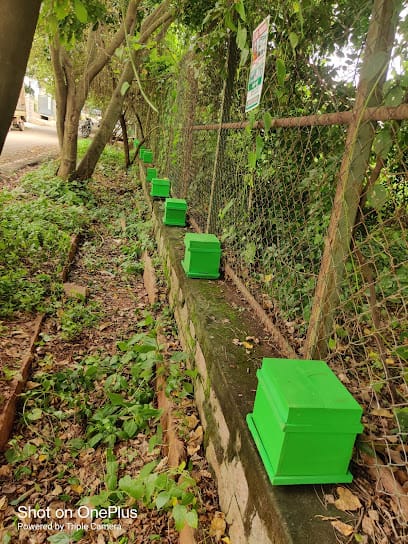 Friendly Bee Farming and Training Centre business photograph