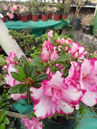 Yuma Aquarium Shop business photograph