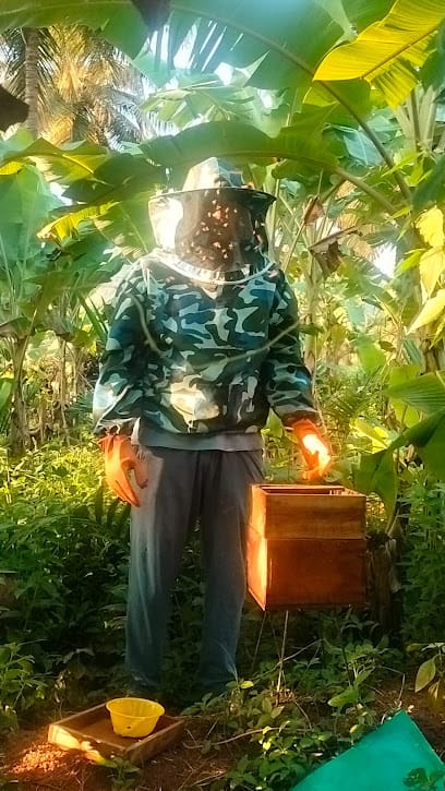 Ponnamas Organic Bee Farm business photograph