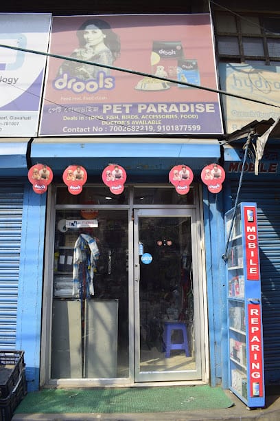 Pet Paradise business photograph