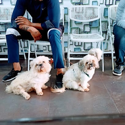 PAWSitive VETERINARY HOSPITAL business photograph