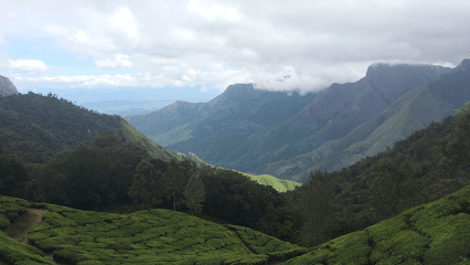 Goyo Tours Munnar business photograph