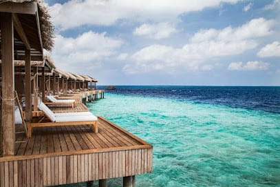 Make Fun Trip business photograph