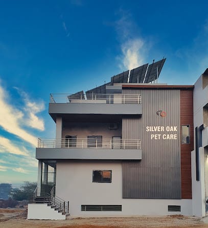 Silver Oak Pet Care: Pet Hospital in Ludhiana | dog and cat clinic business photograph