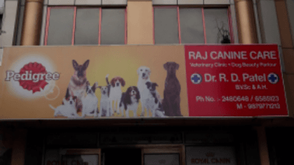 Raj Canine Care - Best Dog Clinic | Pet Shop | Grooming Parlour | Pet Surgery Doctor in Karelibaug Vadodara business photograph