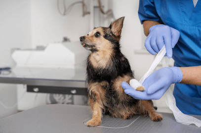 PET TRUST - Veterinary Hospital business photograph