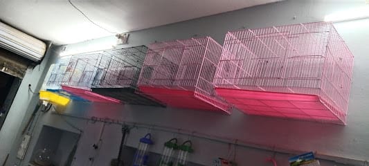 Gold Pets And Aquarium business photograph