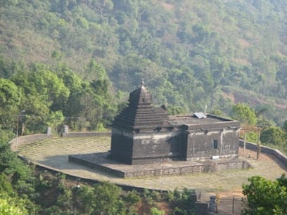 Coffee Estate / Plantation Homestays & Resorts business photograph