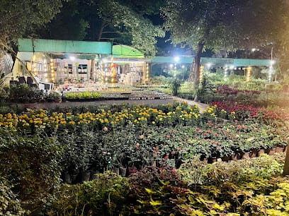 Ruby Green Nursery - Best nursery in Delhi business photograph