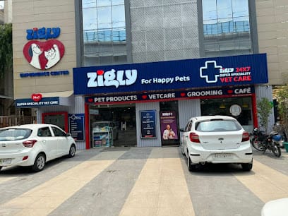 Zigly 24x7 Multi-Speciality Pet Hospital | Kailash Colony business photograph