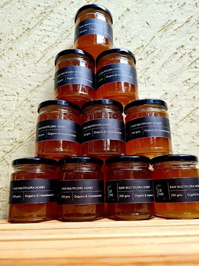 Tall Tree business photograph