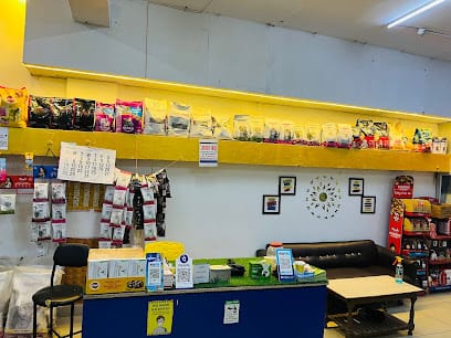 Olive Pet Vet Clinic business photograph