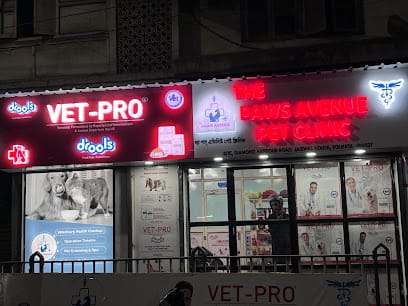 The Paws Avenue - Best Pet Clinic in Kolkata business photograph