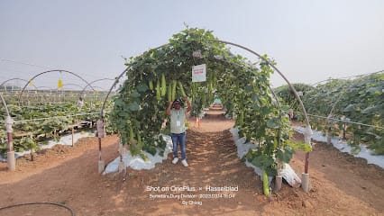 Shital Agro Centre Silvassa business photograph