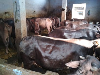 Muneer Milk Dairy business photograph