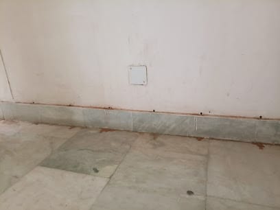 MC Cleaning Services & Pest Solution business photograph