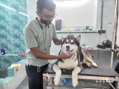 Dr. Rokad's Veterinary Surgical Hospital business photograph