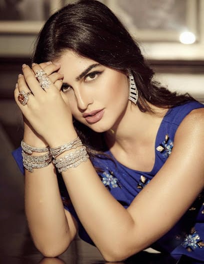 Mughal Jewels business photograph