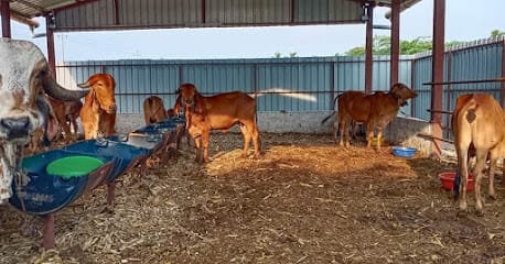 SCV Organic Cow Center business photograph