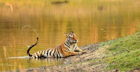 Dream India Journey business photograph