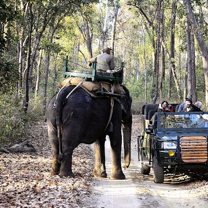 Nagpur Car Rental Booking business photograph